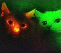 Ils ont l'air très heureux.