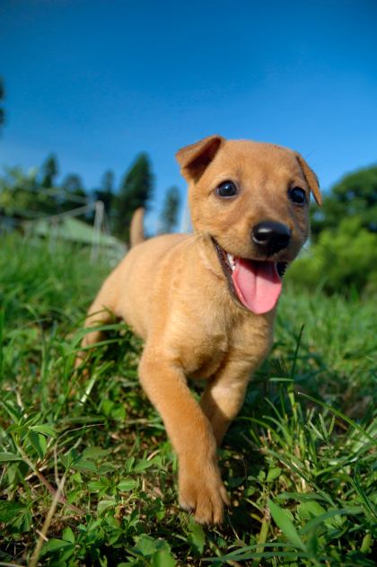 3745797107_1abf097eaa_o